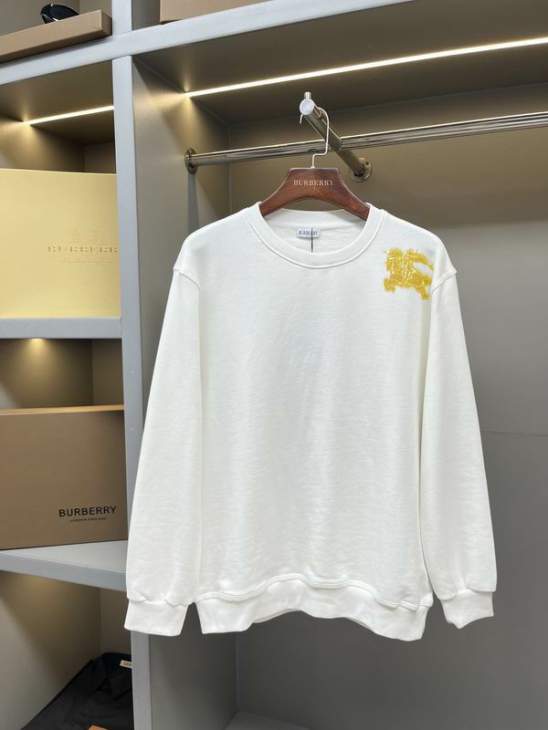 Picture of Burberry Sweatshirt _SKUBurberryS-2XLaztx872230977